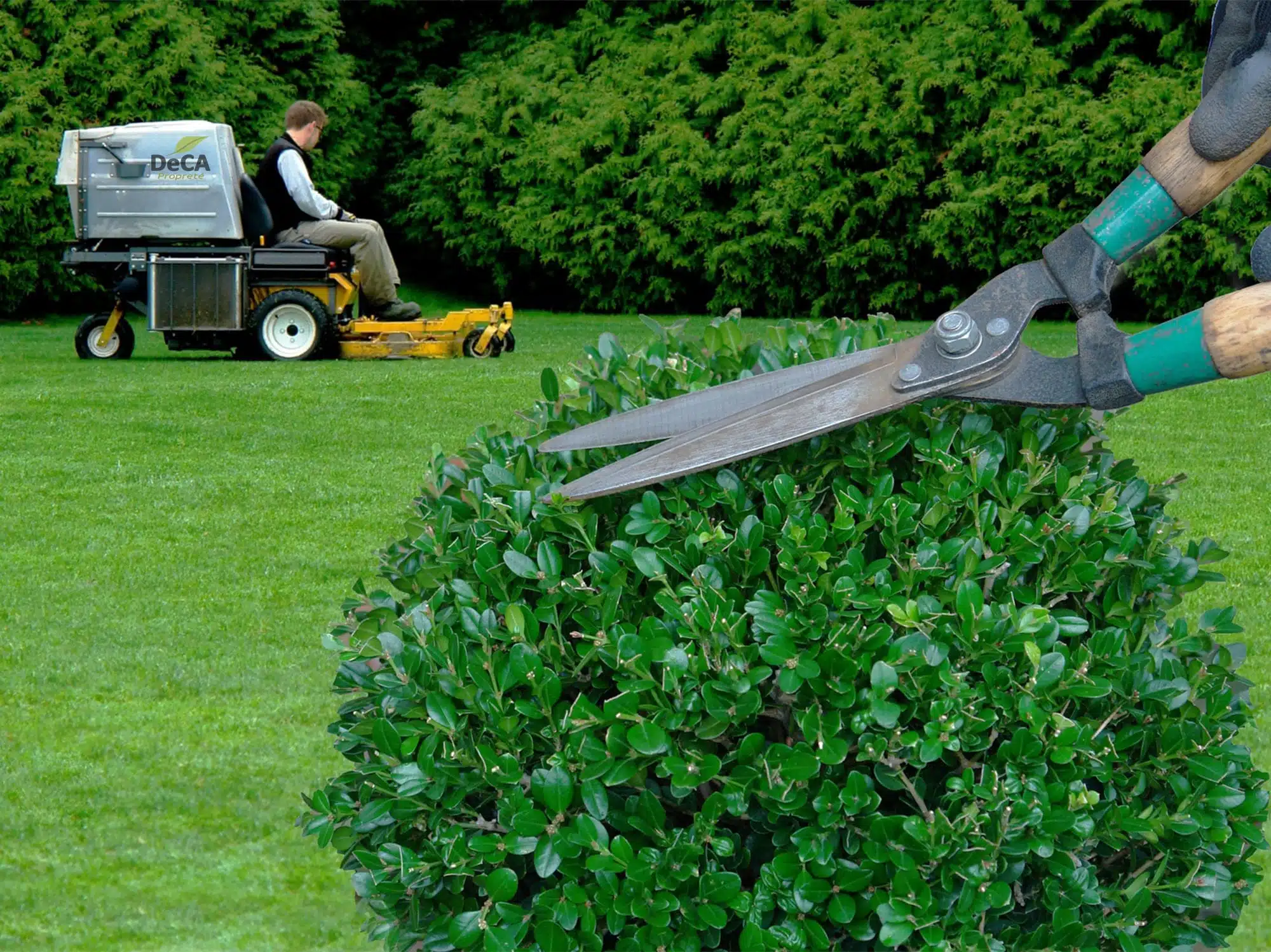 Entretenir votre jardin